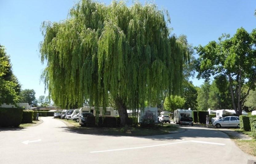 Camping Du Paquier Fane Chagny  Zewnętrze zdjęcie